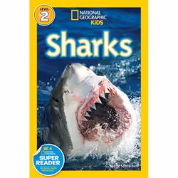 ISBN National Geographic Readers: Sharks, Anglais, Livre broché, 32 pages