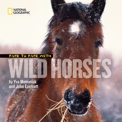 ISBN Face to Face With Wild Horses, Anglais, Couverture rigide, 32 pages
