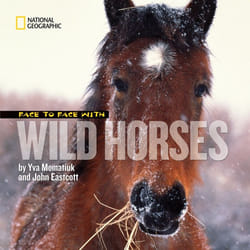 ISBN Face to Face With Wild Horses Couverture rigide