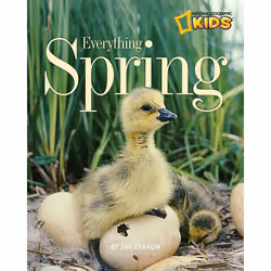 ISBN Everything Spring, Anglais, Livre broché, 16 pages