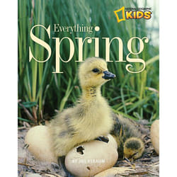 ISBN Everything Spring
