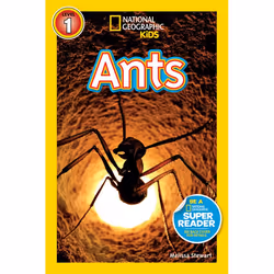 ISBN National Geographic Readers: Ants, Anglais, Livre broché, 32 pages