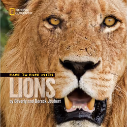 ISBN Face to Face with Lions, Anglais, Livre broché, 32 pages