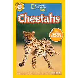 ISBN National Geographic Readers: Cheetahs, Anglais, Livre broché, 32 pages