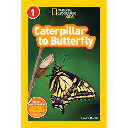 ISBN National Geographic Readers: Caterpillar to Butterfly, Anglais, Livre broché, 32 pages
