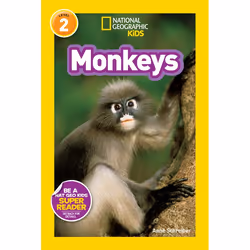 ISBN National Geographic Readers: Monkeys, Anglais, Livre broché, 32 pages