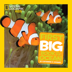 ISBN National Geographic Little Kids First Big Book of the Ocean, Anglais, Couverture rigide, 128 pages