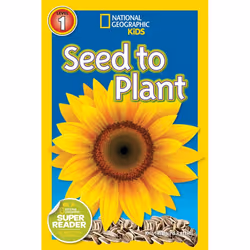 ISBN National Geographic Readers: Seed to Plant, Anglais, Livre broché, 32 pages