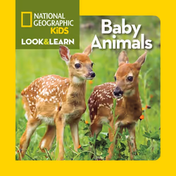 ISBN National Geographic Kids Look and Learn: Baby Animals, Anglais, Couverture rigide, 24 pages