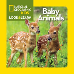 ISBN National Geographic Kids Look and Learn: Baby Animals Couverture rigide
