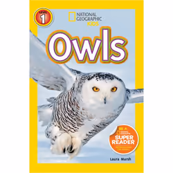 ISBN National Geographic Readers: Owls, Anglais, Livre broché, 32 pages