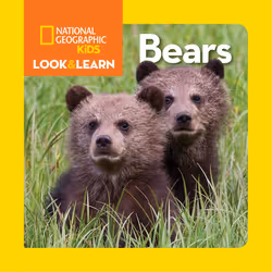 ISBN National Geographic Kids Look and Learn: Bears, Anglais, Couverture rigide, 24 pages