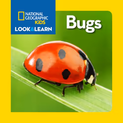 ISBN National Geographic Kids Look and Learn: Bugs, Anglais, Couverture rigide, 24 pages