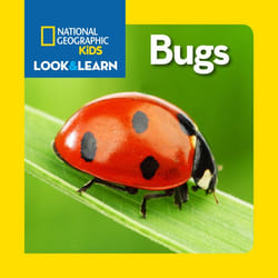 ISBN National Geographic Kids Look and Learn: Bugs Couverture rigide