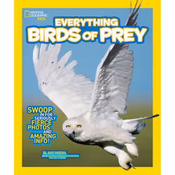 ISBN National Geographic Kids Everything Birds of Prey, Anglais, Livre broché, 64 pages