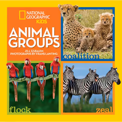 ISBN Animal Groups, Anglais, Couverture rigide, 32 pages