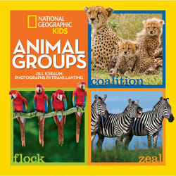 ISBN Animal Groups Couverture rigide