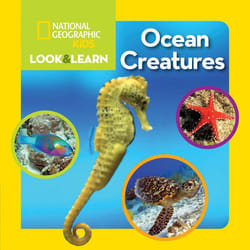 ISBN National Geographic Kids Look and Learn: Ocean Creatures Couverture rigide