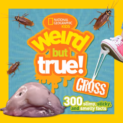 ISBN Weird But True Gross, Anglais, Livre broché, 208 pages
