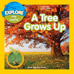 ISBN Explore My World A Tree Grows Up, Anglais, Livre broché, 32 pages