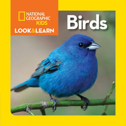 ISBN National Geographic Kids Look and Learn: Birds Couverture rigide