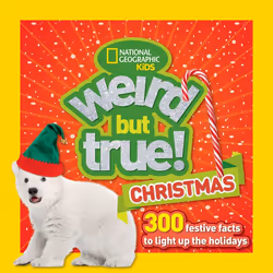 ISBN Weird But True Christmas, Anglais, Livre broché, 208 pages