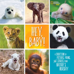 ISBN Hey, Baby!, Anglais, Couverture rigide, 192 pages