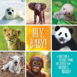 ISBN Hey, Baby! Couverture rigide
