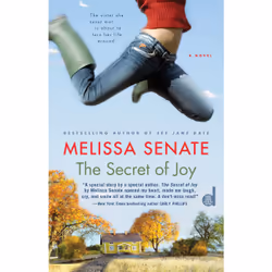 ISBN The Secret of Joy, Anglais, Livre de poche, 352 pages