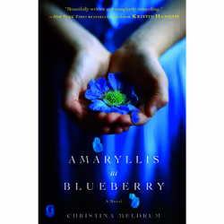 ISBN Amaryllis in Blueberry, Anglais, Livre de poche, 384 pages