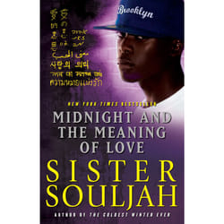 ISBN Midnight and the Meaning of Love Livre de poche