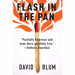 ISBN Flash in the Pan, Anglais, Livre de poche, 304 pages