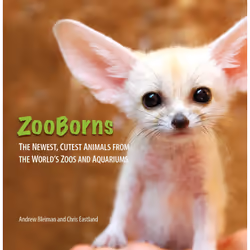 ISBN ZooBorns, Anglais, Couverture rigide, 160 pages
