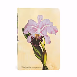 Paperblanks Brazilian Orchid, Image, Multicolore, 176 feuilles, 85 g/m², Papier ligné, Couverture rigide