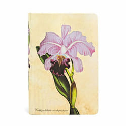 Paperblanks Brazilian Orchid bloc-notes 176 feuilles Multicolore