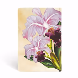 Paperblanks Brazilian Orchid bloc-notes 176 feuilles Multicolore