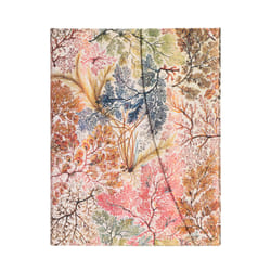 Paperblanks Anemone bloc-notes 144 feuilles Multicolore