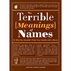 ISBN The Terrible Meanings of Names, Anglais, Livre de poche, 240 pages