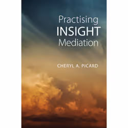 ISBN Practising Insight Mediation, Anglais, 200 pages