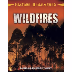 Hachette UK Wildfires, Anglais, Couverture rigide, 32 pages