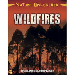 Hachette UK Wildfires Couverture rigide