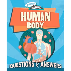 Hachette UK Human Body, Anglais, Couverture rigide, 32 pages