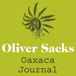 ISBN Oaxaca Journal, Anglais, Livre broché, 176 pages