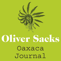 ISBN Oaxaca Journal