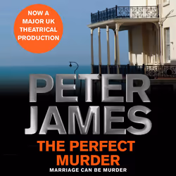 ISBN The Perfect Murder, Anglais, Livre broché, 176 pages