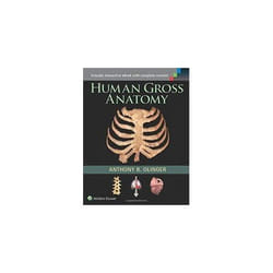 Human Gross Anatomy - [Version Originale]