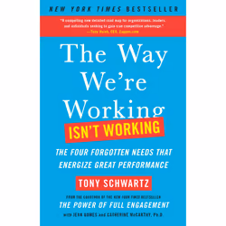 ISBN The Way We're Working Isn't Working, Anglais, Livre de poche, 352 pages