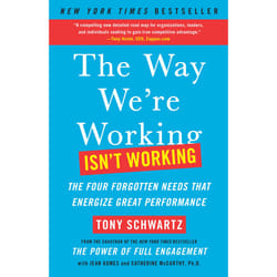 ISBN The Way We're Working Isn't Working Livre de poche