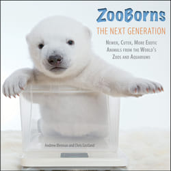 ISBN ZooBorns The Next Generation Couverture rigide