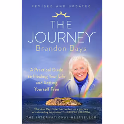 ISBN The Journey, Anglais, Livre de poche, 304 pages